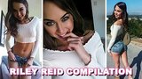 La pequeña estrella porno Riley Reid